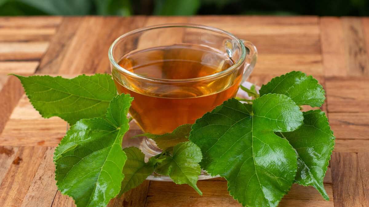 Bu çayda sütten 25 kat daha fazla kalsiyum var! Bedava olduğu için kimse bu yaprakların reklamını yapmıyor