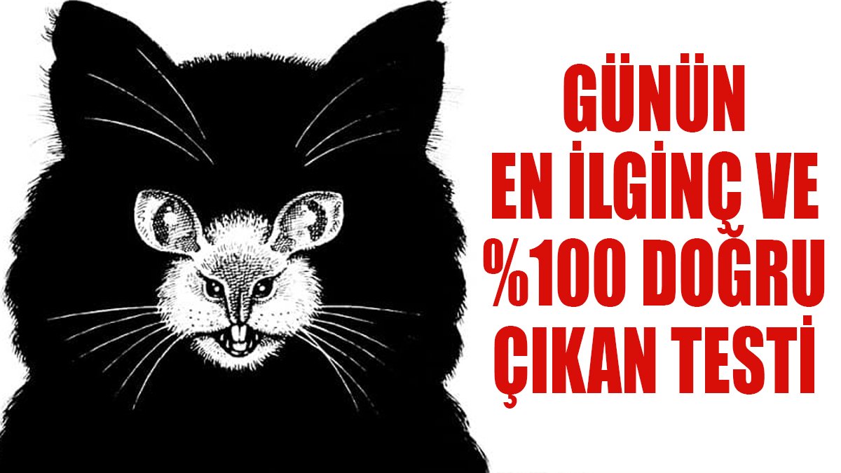 Sosyal medyayı sallayan alışılmadık test: Siz de çözmelisiniz...