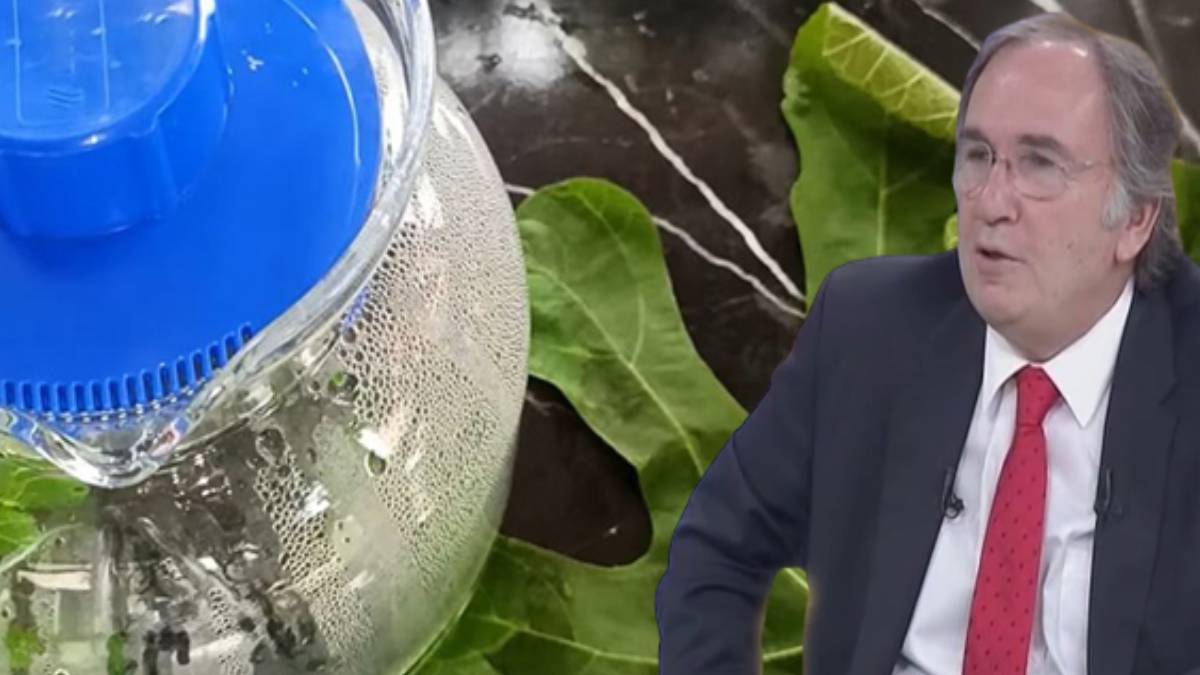 Bedava olduğu için bu tarifi size kimse vermiyor! Bu yaprağın çayını için hayatınız anında değişsin