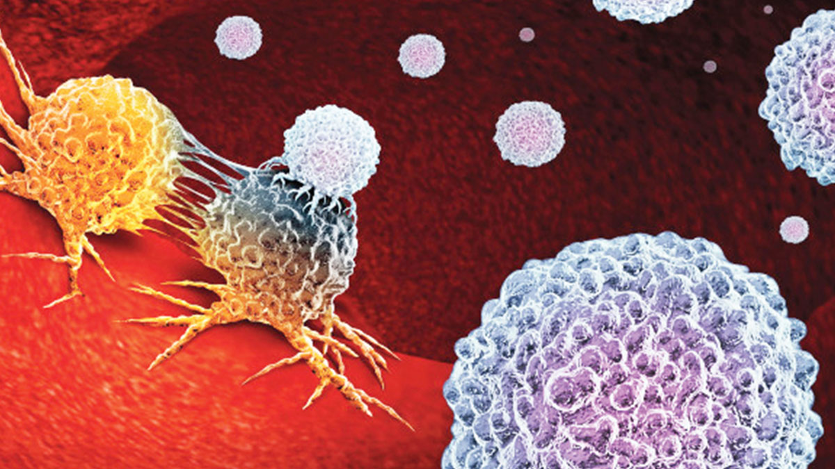 Dedektif hücreler  kanseri bulacak
