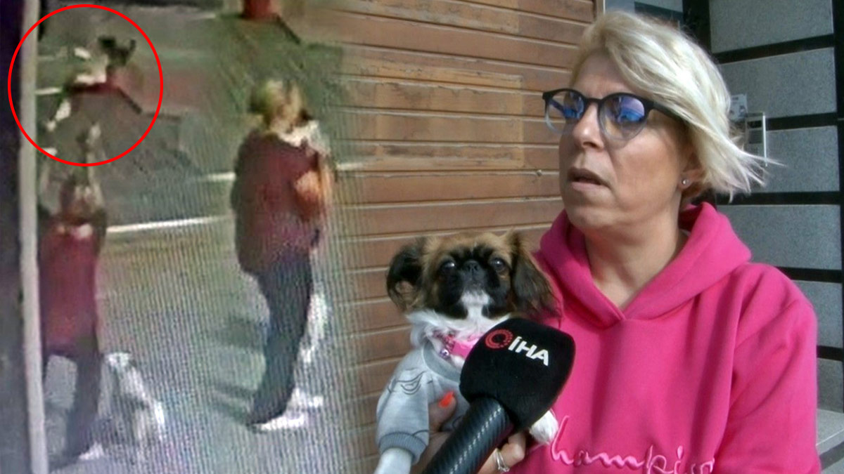 Balkondan düşen köpeğini havada yakaladı, o anlar kameraya yansıdı