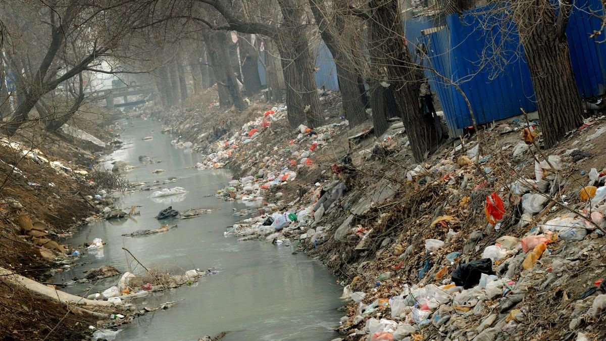 Doğayı kirletenler şimdi yandı: Çöp atarken iki kez düşünün