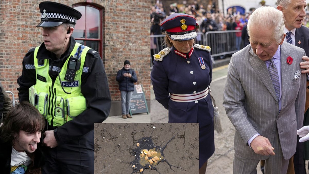 Kral Charles'a yumurta atan protestocudan bağış kampanyası