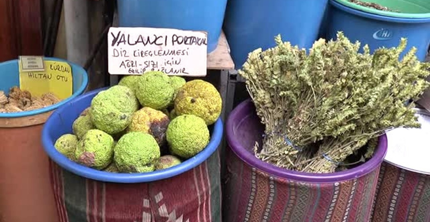 Tanesi 5 TL’den satılıyor faydalarını kimse bilmiyor! O meyve resmen doğal ağrı kesici! Tüketen faydasını hemen görüyor!