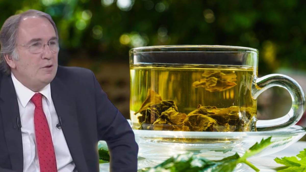 Bu yaprağın çayını için etkisini bir günde görün! Para vermeyeceğiniz için kimse size tavsiye etmiyor ama...