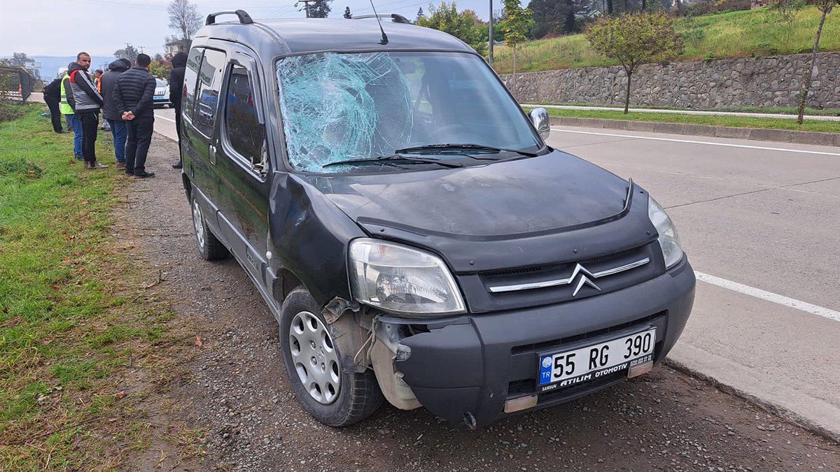 Köpeklerden kaçtı, aracın çarpmasıyla hayatını kaybetti