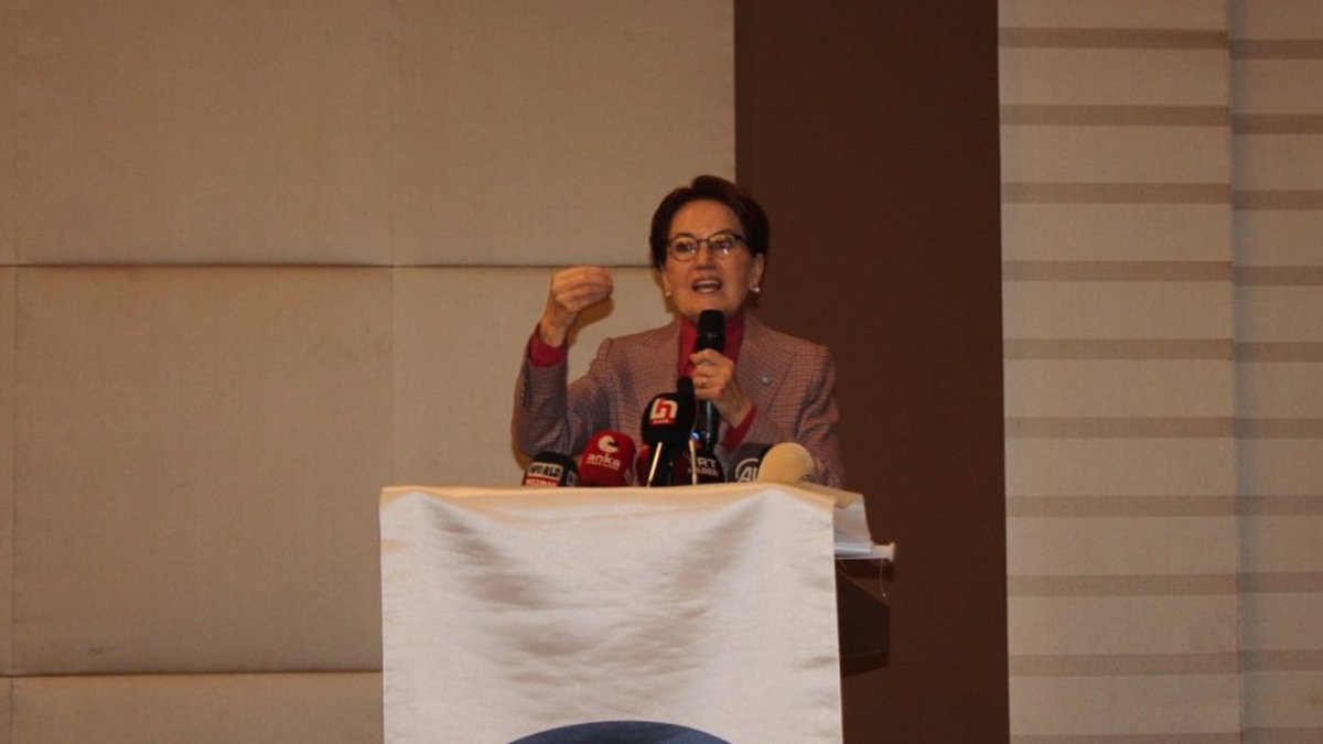 Akşener: Arada bir ‘yerli ve milli’ olarak ilan ediliyoruz
