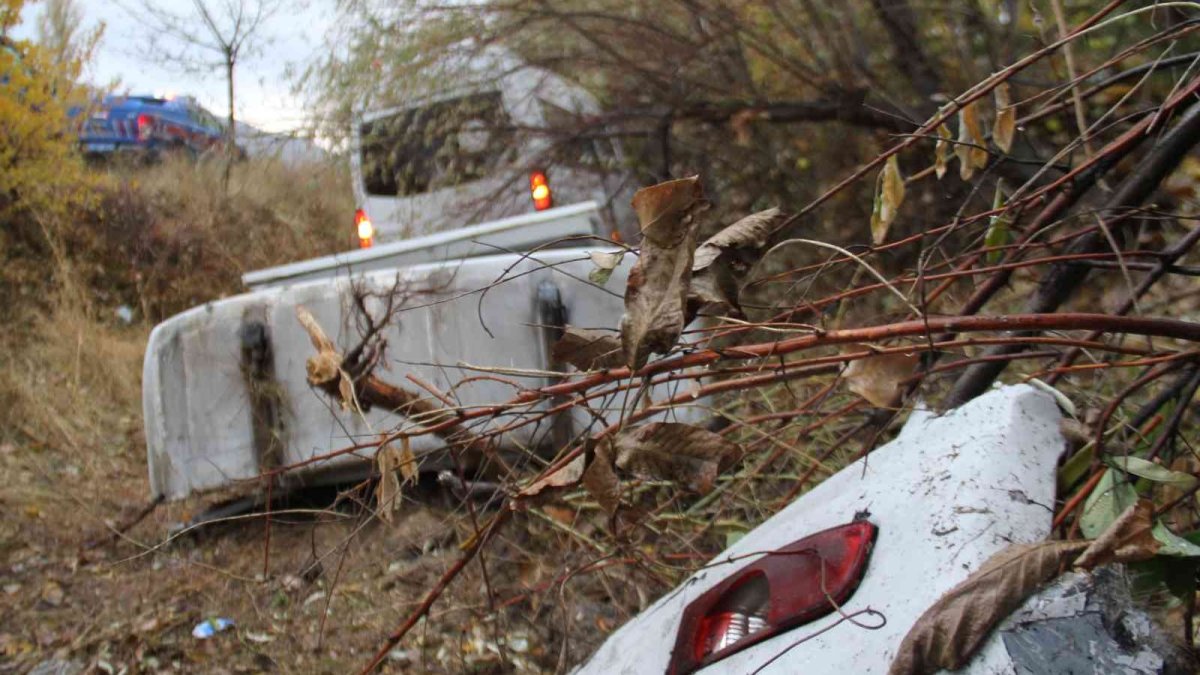 Tur minibüsü şarampole uçtu: 20 yaralı