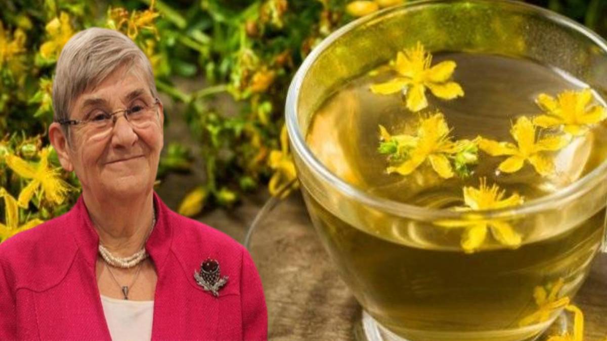 Bu çayın faydaları saymakla bitmiyor! O otun çayı sigaranın ve alkolün etkisini anında vücuttan atıyor