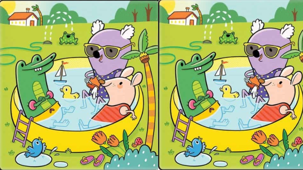 İki resim arasındaki 20 farkı bulmak neredeyse imkansız! 47 saniyede 20 farkı bulan kişilerden zeka fışkırıyor!