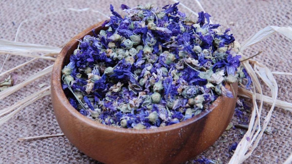 Faydasını bilse herkes yerden o otu toplardı! O otu ağzınıza atıp bir müddet çiğneyin mucizeye tanık olun