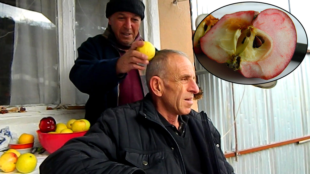 Görenleri hayrete düşüren ilginç yetenek: Kafasına elmayla vurunca...