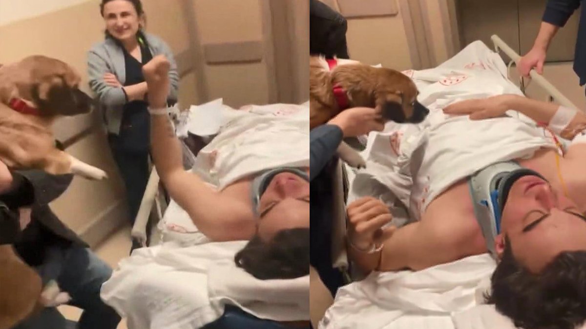 Amasya'daki kazada yaralanan Sergen Deveci gözlerini açtı, köpeğine sarıldı