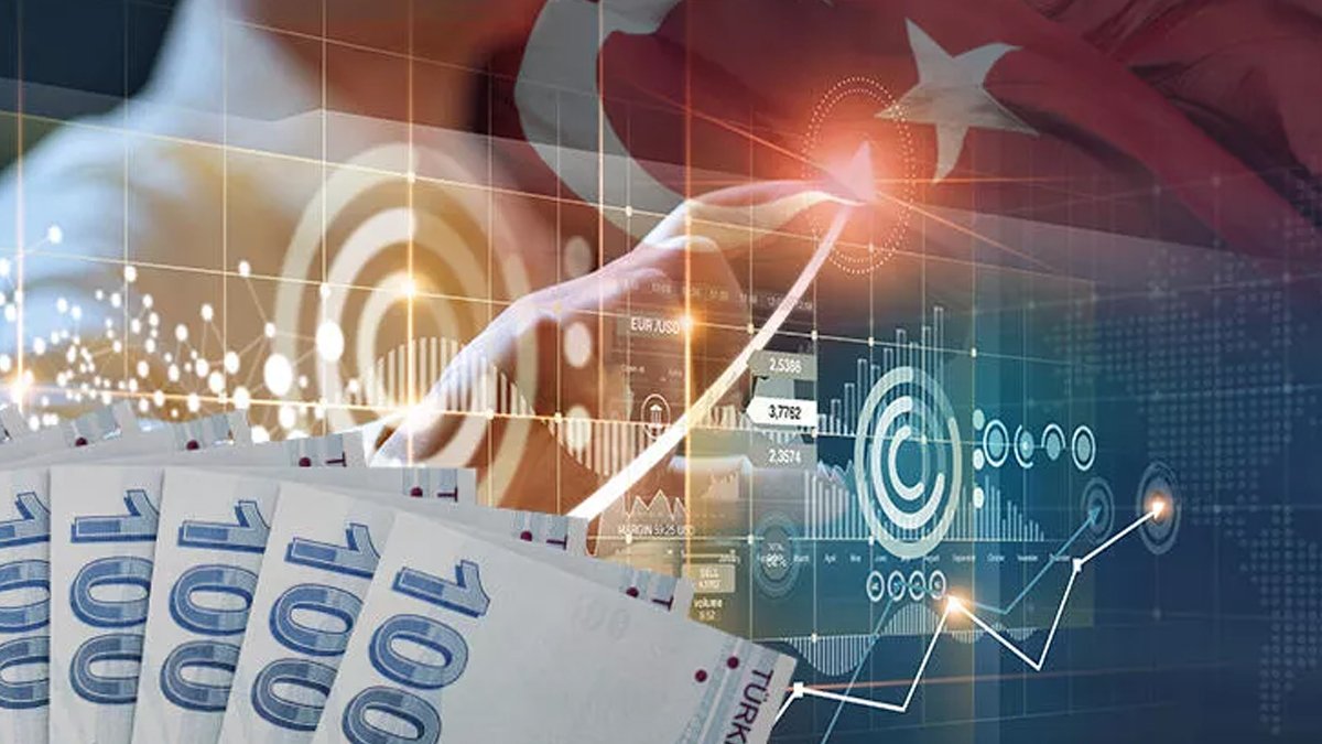 OECD'den düşük rezerv uyarısı: Türk ekonomisi şoklara karşı korumasız