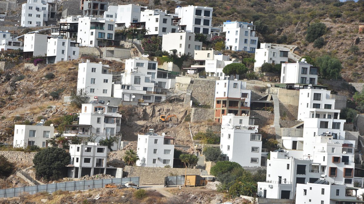 Bodrum'daki kaçak yapılaşmaya belediye başkanı böyle isyan etti: İnsanlar çıldırmış gibi