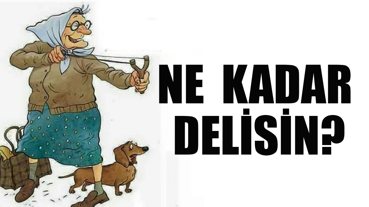 Burcunuza göre delilik seviyen... Hangi burç ne kadar deli?