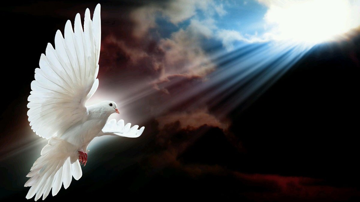 Hayat o burçların yüzüne gülüyor! Hem başarılı hem de şanslı olan burçlar...