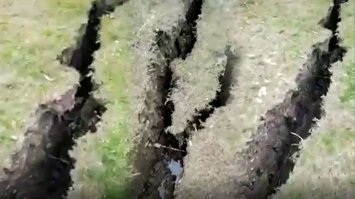 Düzce'de korkutan görüntü