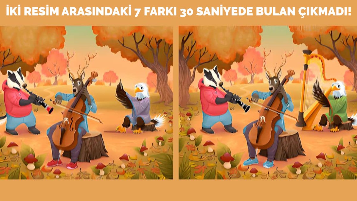 İki resim arasında 7 fark var! Sadece IQ'su yüksek insanlar 30 saniyede farkların hepsini buluyor!