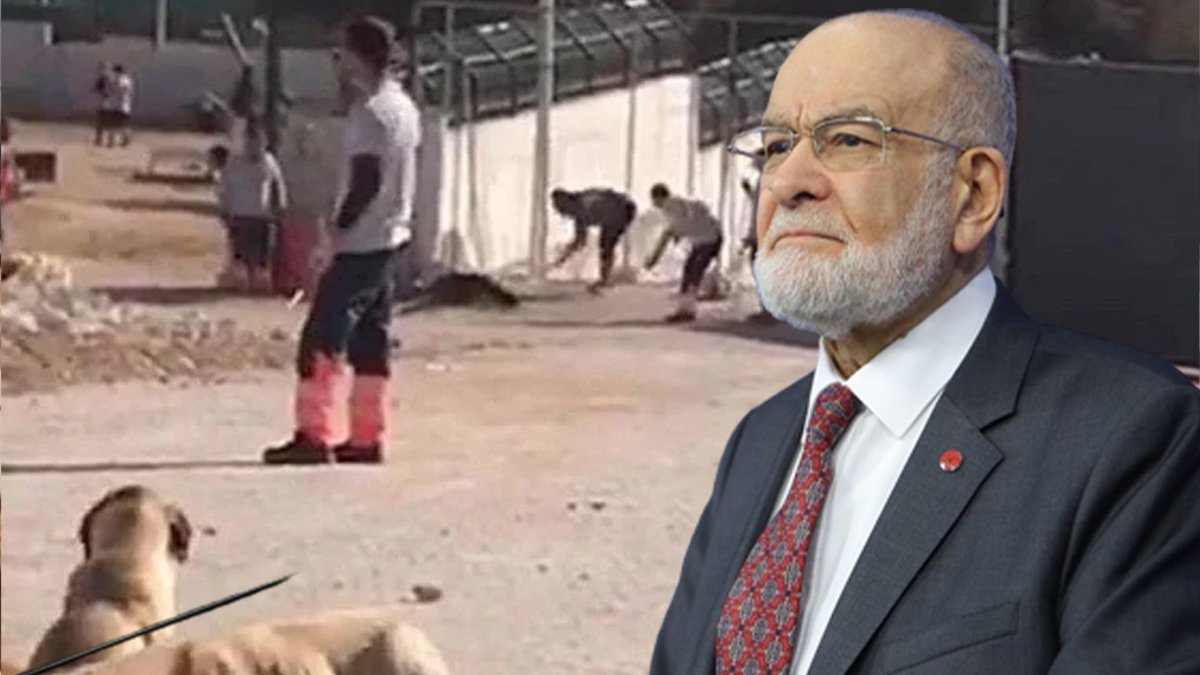 Karamollaoğlu'ndan Konya'daki vahşete tepki: Çözüm yolları acilen devreye konulsun