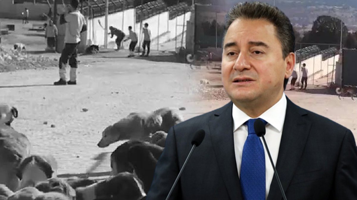 Babacan: Görüntüler karşısında dehşete kapıldım