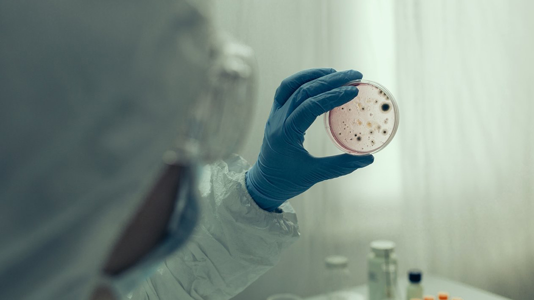 48 bin 500 yıllık virüs yeniden canlandırıldı! Hala bulaşabilir