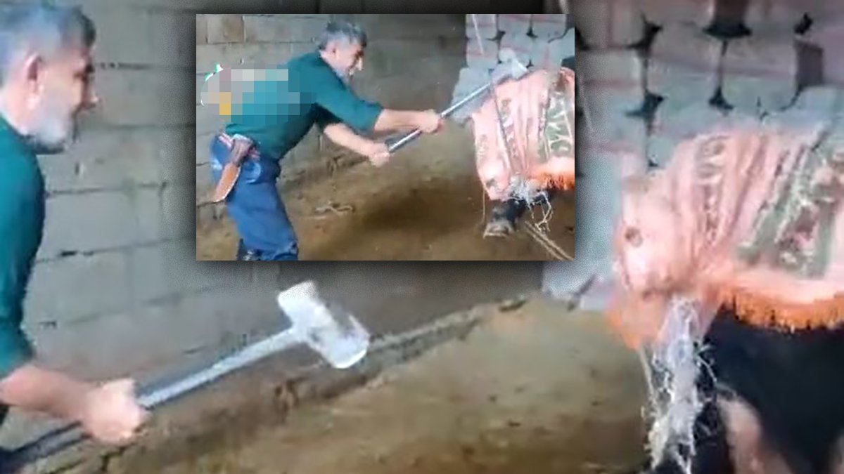 Hayvana şiddet son bulmuyor... Konya’daki rezaletin ardından iki ilden korkunç görüntüler!