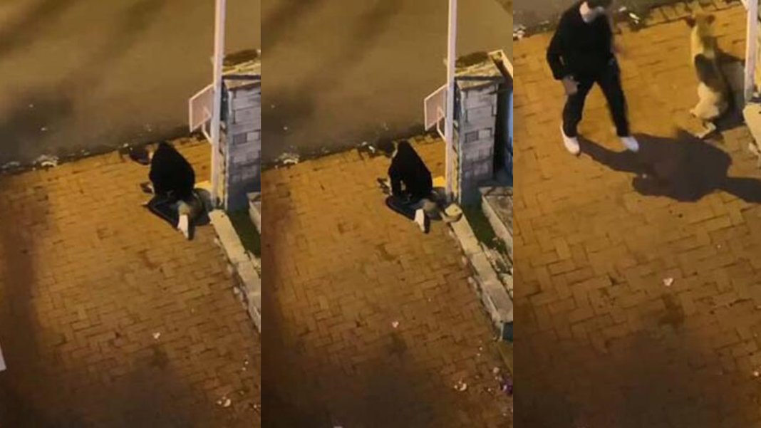 Şaşırtmayan karar! Köpeği boğmaya çalıştı, serbest bırakıldı