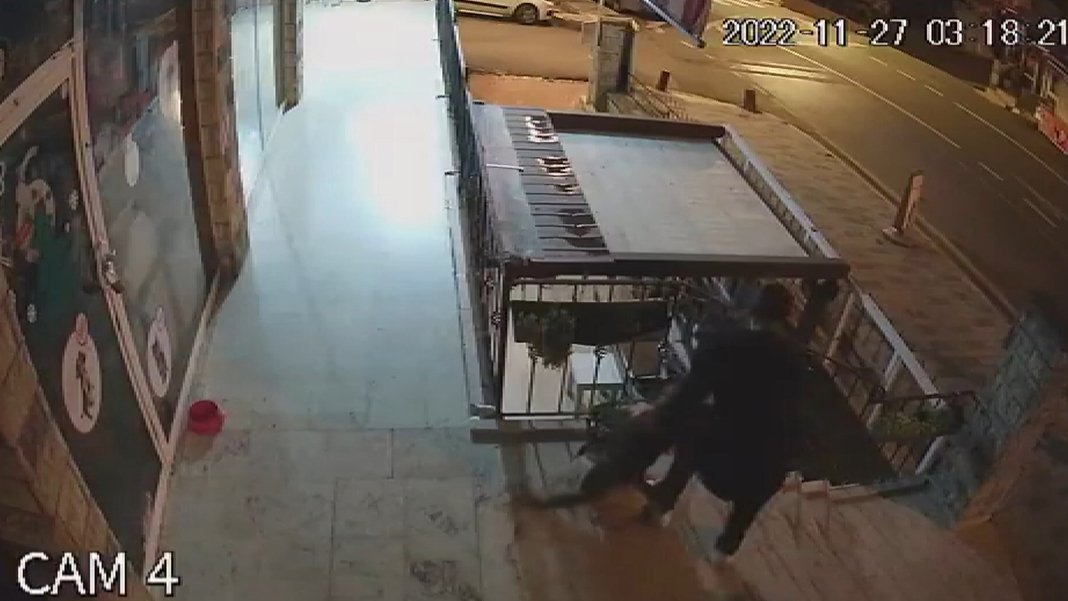 Bu vahşiyi nasıl serbest bırakırsınız? Köpeği sadece boğmaya çalışmamış