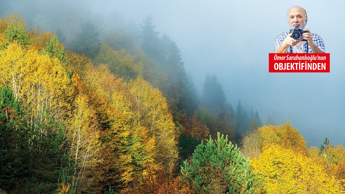 Sonbahar fantezileri