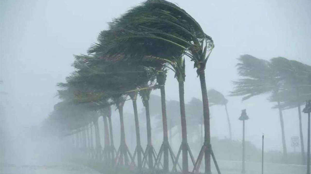 Sağanak, kar, rüzgar, sis… Meteoroloji uyardı: Dördü birden etkili olacak