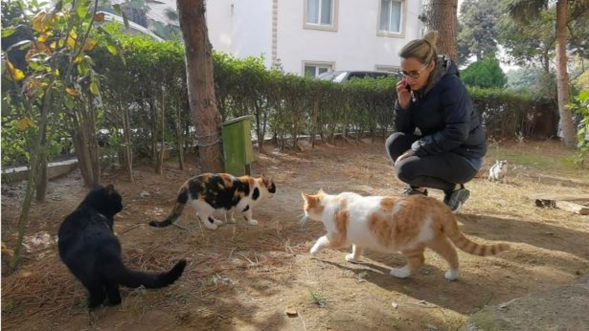Yavru kedinin patilerini kesip öldürdüler! "Geleceğin ruh hastaları yetişiyor"