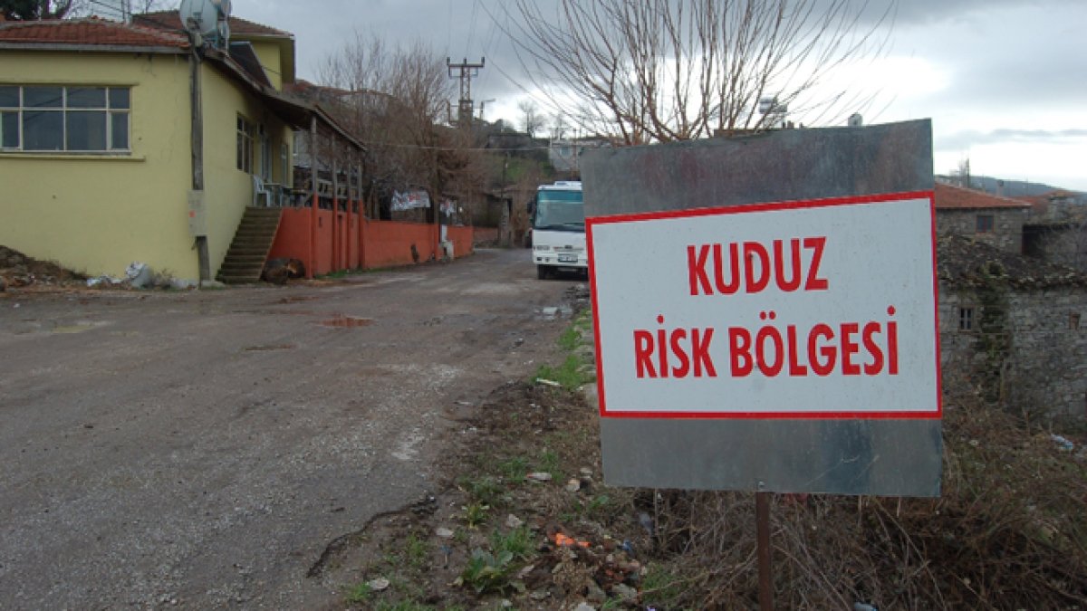 Kars'ta kuduz alarmı: Bir köy karantinada