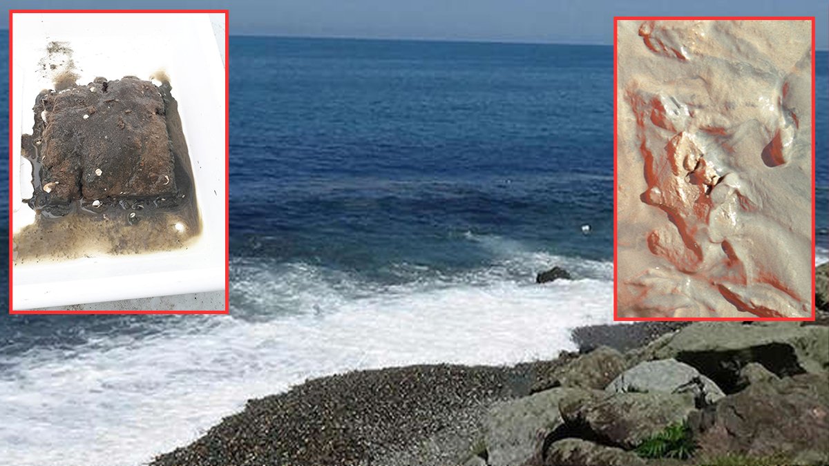 Karadeniz kıyıları tehlikede! Sofralarımıza kadar geliyor