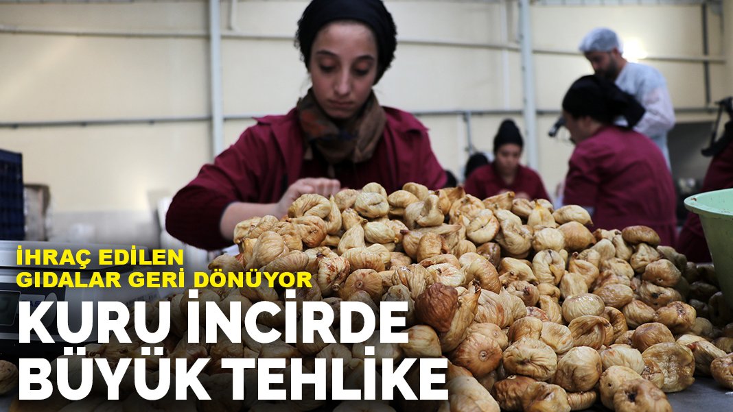 Ritorni alimentari esportati dalla Turchia: grande pericolo per i fichi secchi
