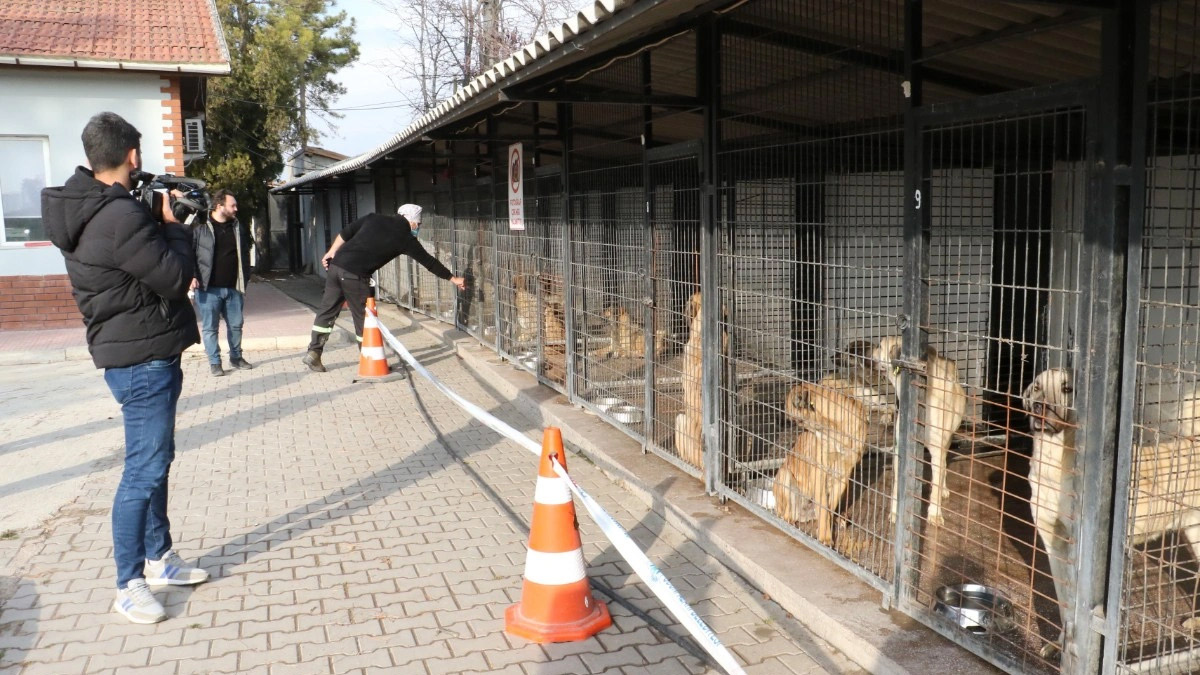 Yürek sızlatan görüntülere ilginç savunma: 'İddialar algı operasyonu'