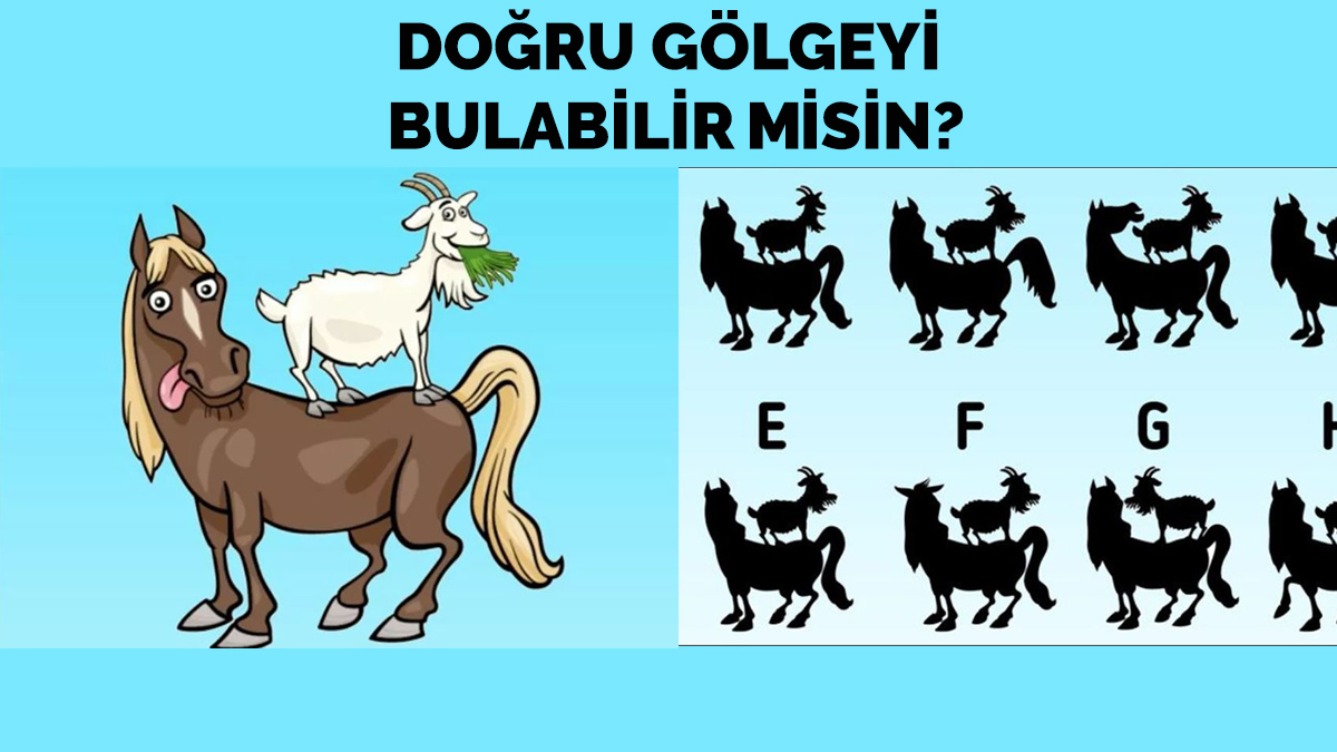 İnsanların sadece %1'i doğru gölgeyi buluyor! 12 saniyede bulmacayı çözersen IQ seviyen 140 çıkıyor!