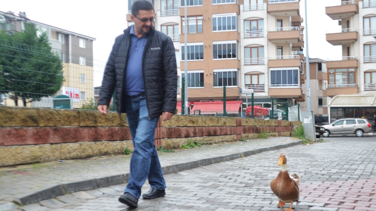 Sahibi nereye, ördek oraya... Dışarıya çıkmayınca sinirleniyor