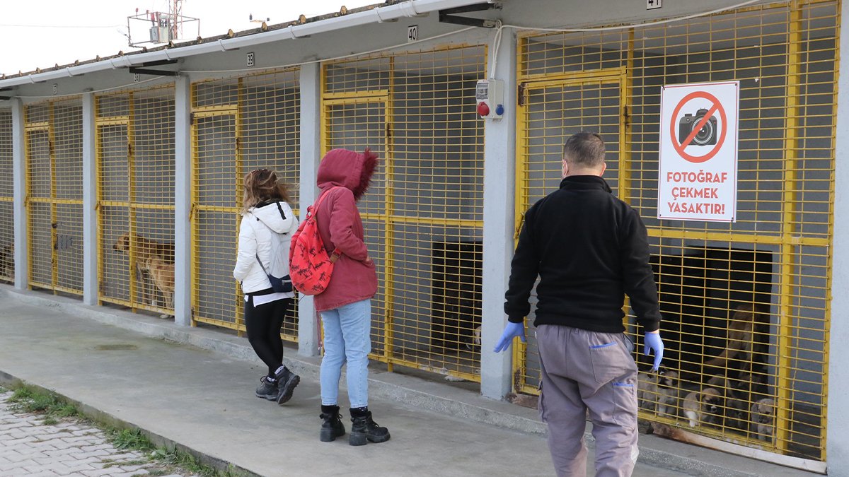 Konya'dan sonra şimdi de orası... 'Algı operasyonu' denmişti, inceleme başladı