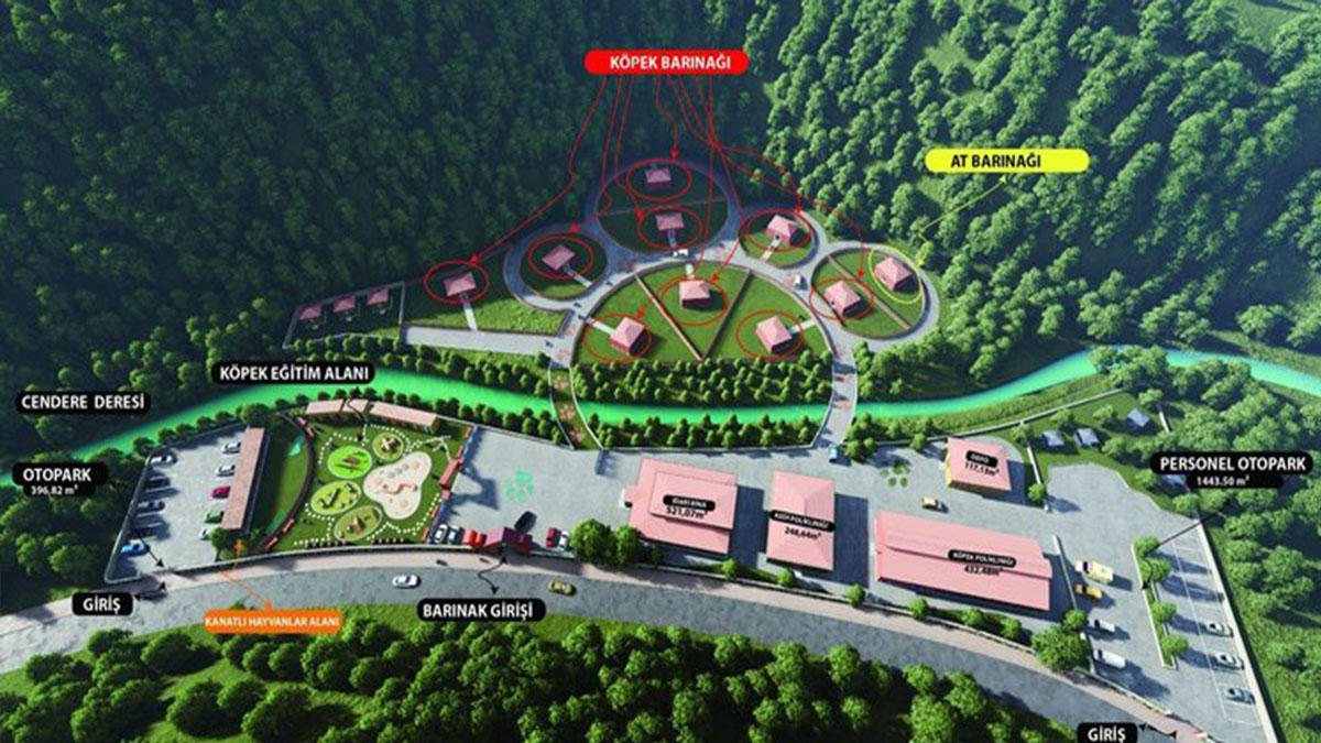 Başıboş hayvanlar için barınak projesi hazır