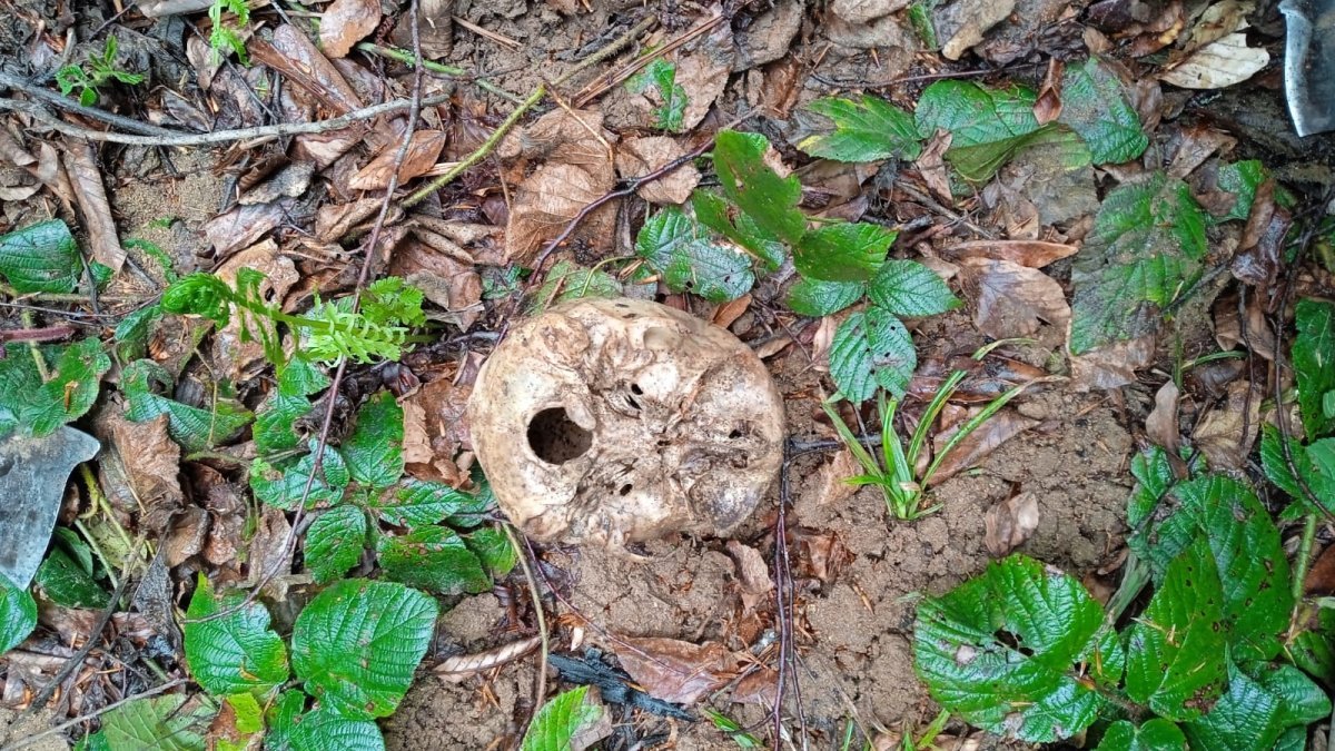 7 yıldır aranıyordu: Ormanda kemikleri bulundu