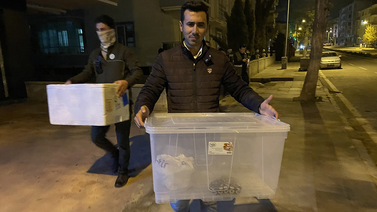 Evden çıkan hayvanlar şaşkına çevirdi: Kraliyet pitonu, sakallı ejder, kaplumbağa...