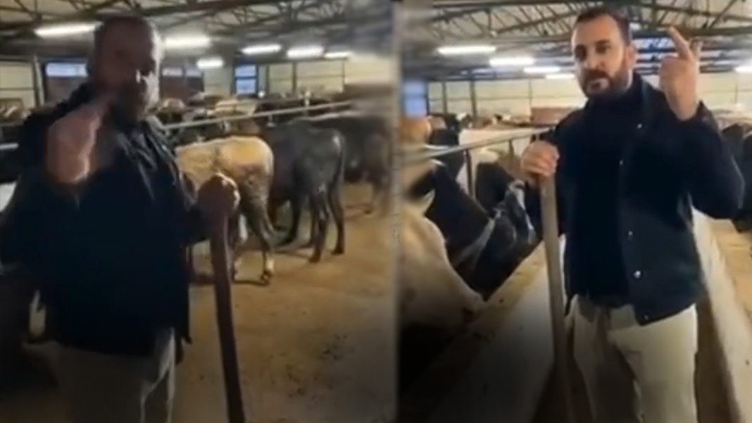 'Peynirin kilosu eti nasıl geçti' sorusuna üretici yanıt verdi! Bağırdık çağırdık kimseye dinletemedik