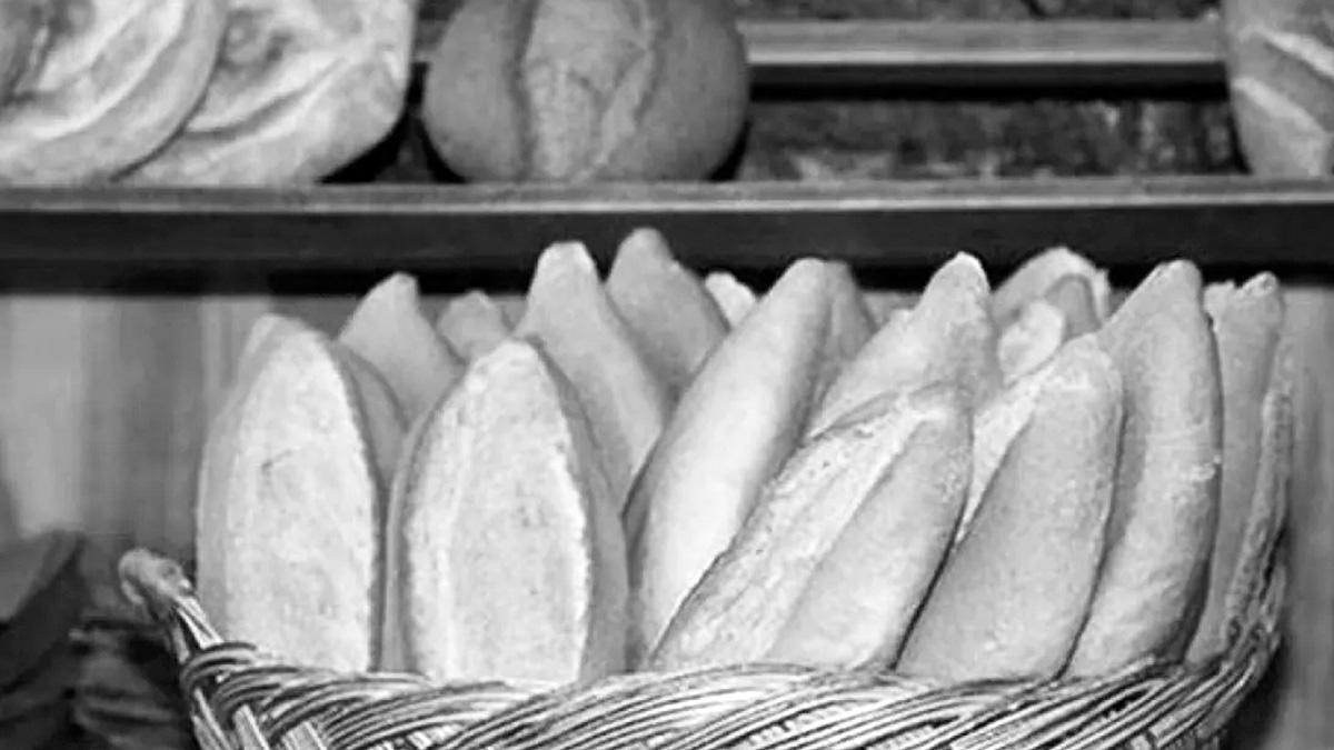 İşte dikkat çeken araştırma: Koronavirüs ekmeğin üstünde birkaç gün yaşıyor