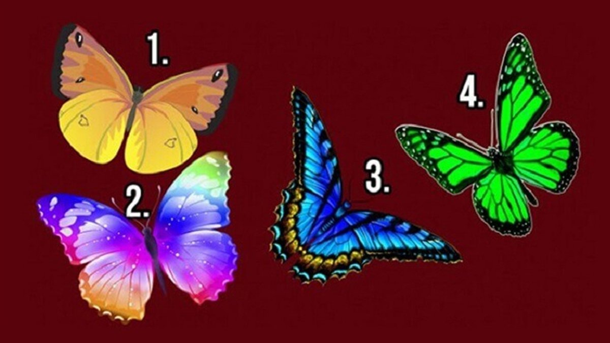 Beğendiğin kelebeği söyle ve ruhunun sırlarını keşfet!