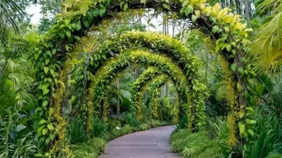 En meşhur optik illüzyon: Resimdeki yılanı 15 saniye içinde bulun (Dikkat bunu çözmeye çalışanlar bir daha düzelmedi)