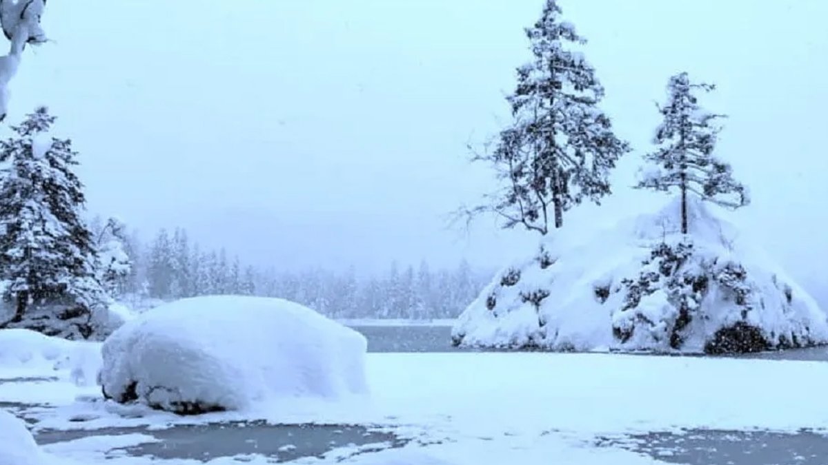 Kendine güvenen gelsin! 10 saniyede isteneni bulun dahiliğinizi gösterin yada ....