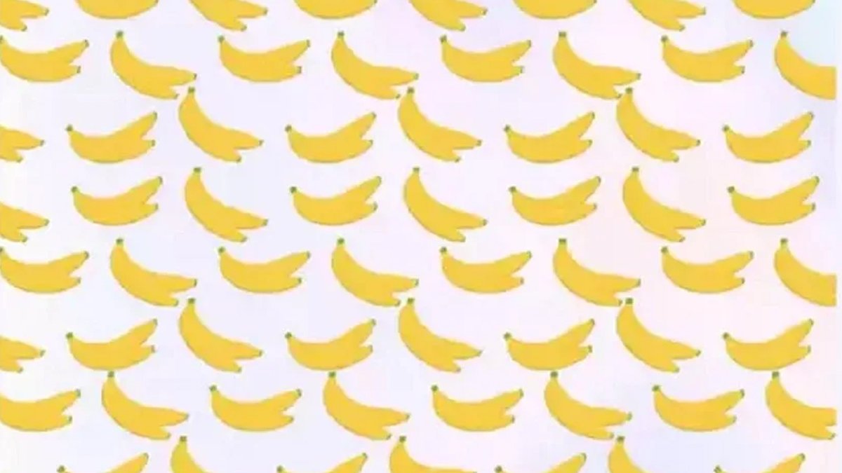 Pürdikkat kişilerin çözebildiği zeka testi: İnsanların yüzde 2'si çözebiliyor...