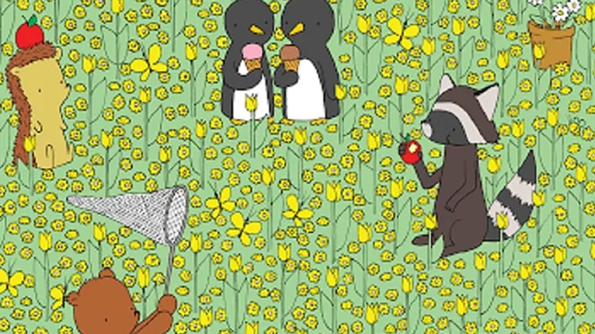 En iyi dikkat ölçen zeka testi: 10 saniye de aptal mısın dahi misin öğreneceksin