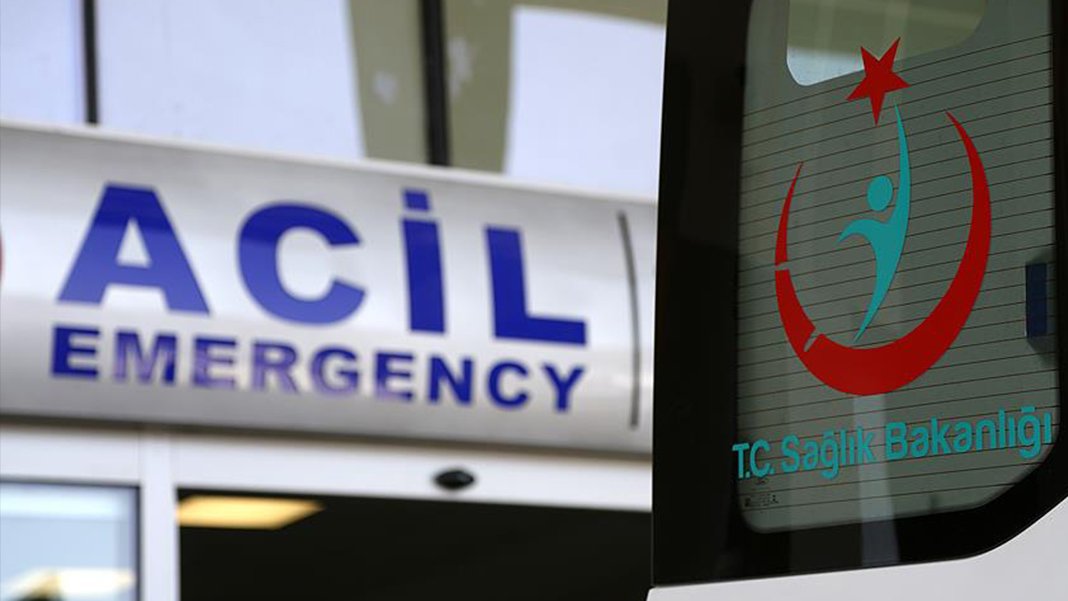 Türkiye'de 'karadul' alarmı! Uzmanlar 'Biz de çok şaşkınız' diyerek uyardı